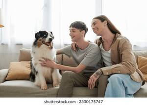 Australian Shepherd Furry Gay Porn - 2,110 Australian Hugging Images, Stock Photos, 3D objects, & Vectors |  Shutterstock