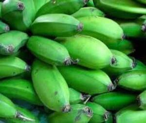 Domita Cuban Porn Blonde - Domita Cuban Porn Blonde | Sex Pictures Pass