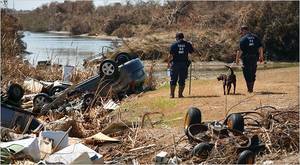crystal beach texas nude - Officers from the Texas Department of Criminal Justice, with cadaver dogs,  searching the debris from Hurricane Ike at Crystal Beach, Tex., on Thursday.