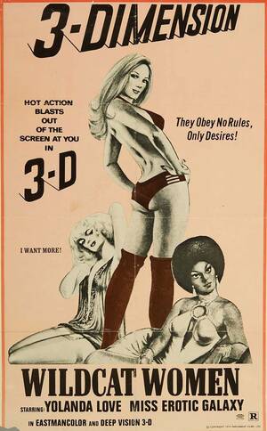 70s Funny Porn - 1970s Sexploitation Tag Lines: Innuendo and Bad Puns Run Amok - Flashbak