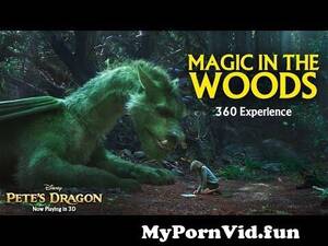 Disney Dragon Porn - Magic in the Woods 360 Video Experience - Pete's Dragon from 3d the magic  of dragons part 2 porn Watch Video - MyPornVid.fun
