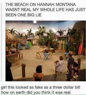 Hannah Montana Porn Captions Animations - The beach on â€œHannah Montanaâ€ wasn't real, guys. That got me right in the  childhood.