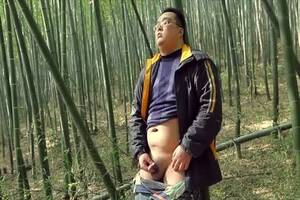 Chinese Bear Porn - Chinese Bear at GayPorno.fm
