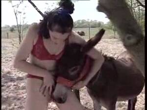 big girls fucking donkey cock - Slutty bitch fucking with a donkey - LuxureTV