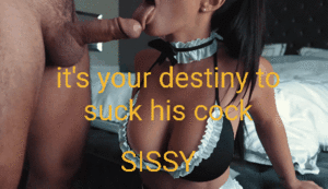 Destiny Porn Captions - Its your destiny. gif @ xGifer