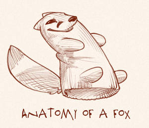 Furry Anatomy Porn - #861545: zeiro - e621