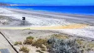 australia nude beach live webcam - Australia Beach Cams & Surf Reports - The Surfers View