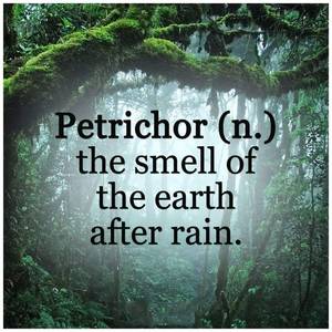 Celtic Pagan Porn - Writing Words, Word Porn, Hillbilly, Pagan, Celtic, Rednecks