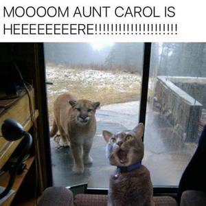 Aunt Carol Porn - Aunt Carol is here!! - Tap the link now to see all of our